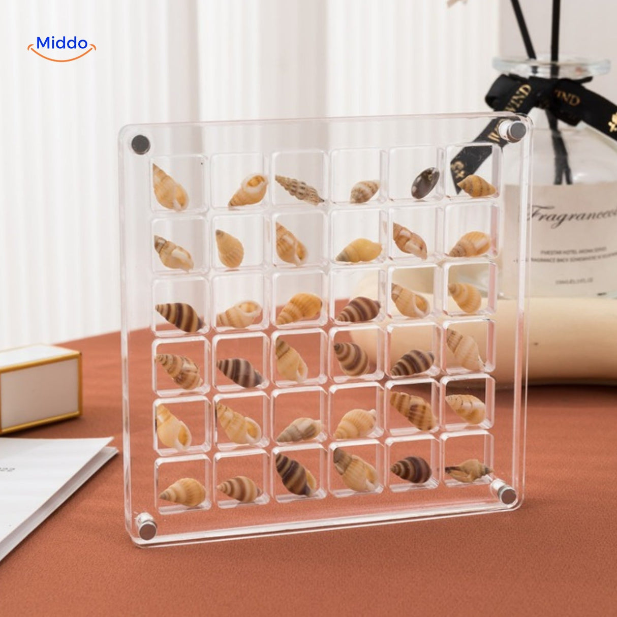 Protective acrylic case protecting seashells from dust, moisture, and physical impacts.