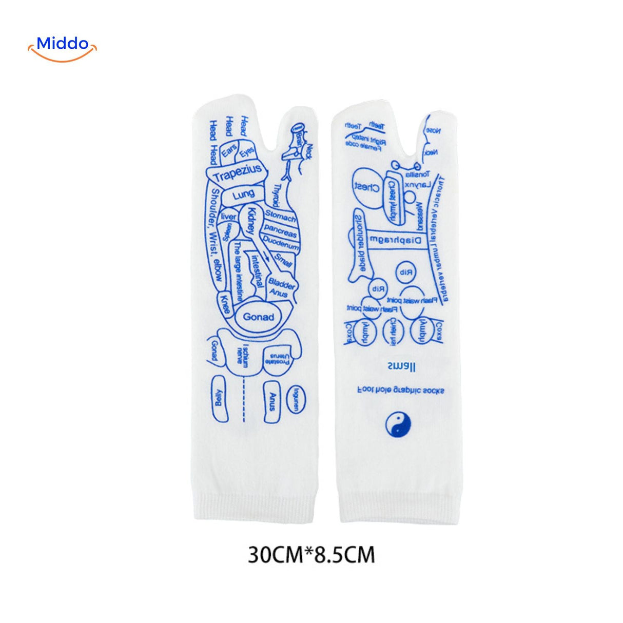 Acupoint therapeutic socks shown in different sizes for optimal foot support.