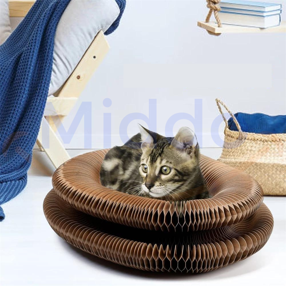 Cat lounging and resting comfortably on cardboard scratch toy.
