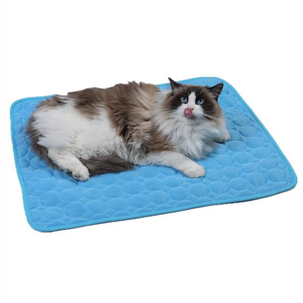 Blue cooling mat designed for cats seeking instant heat relief.