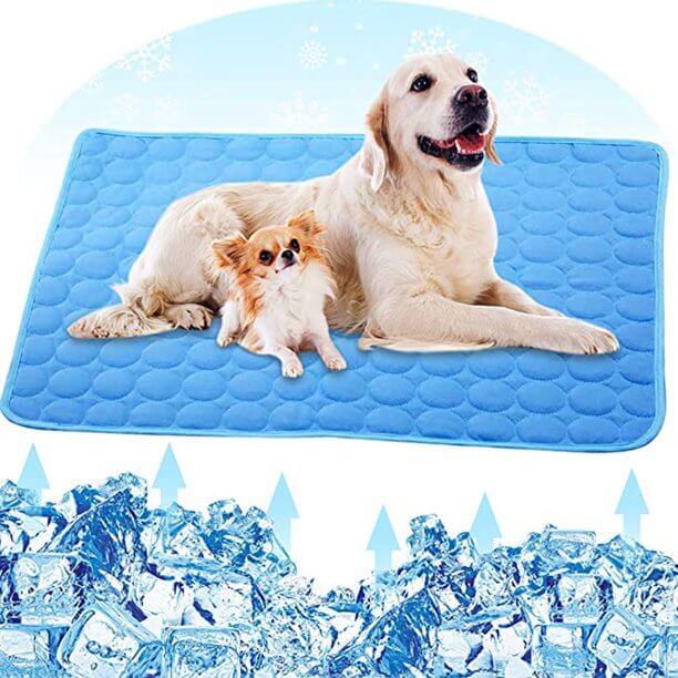 Blue cooling mat with multiple pets enjoying the refreshing surface.