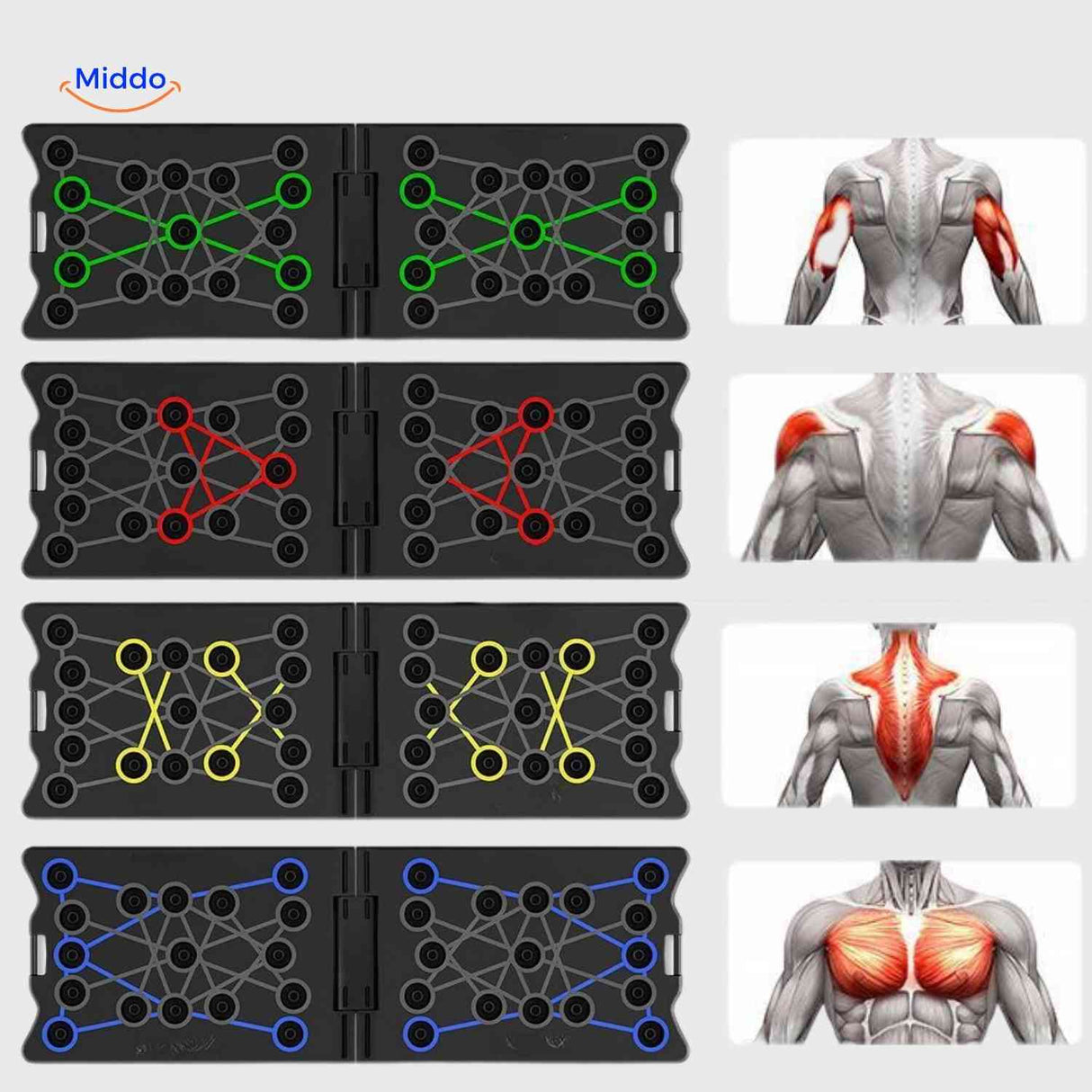 Training zones marked by color to target different muscle groups effectively.