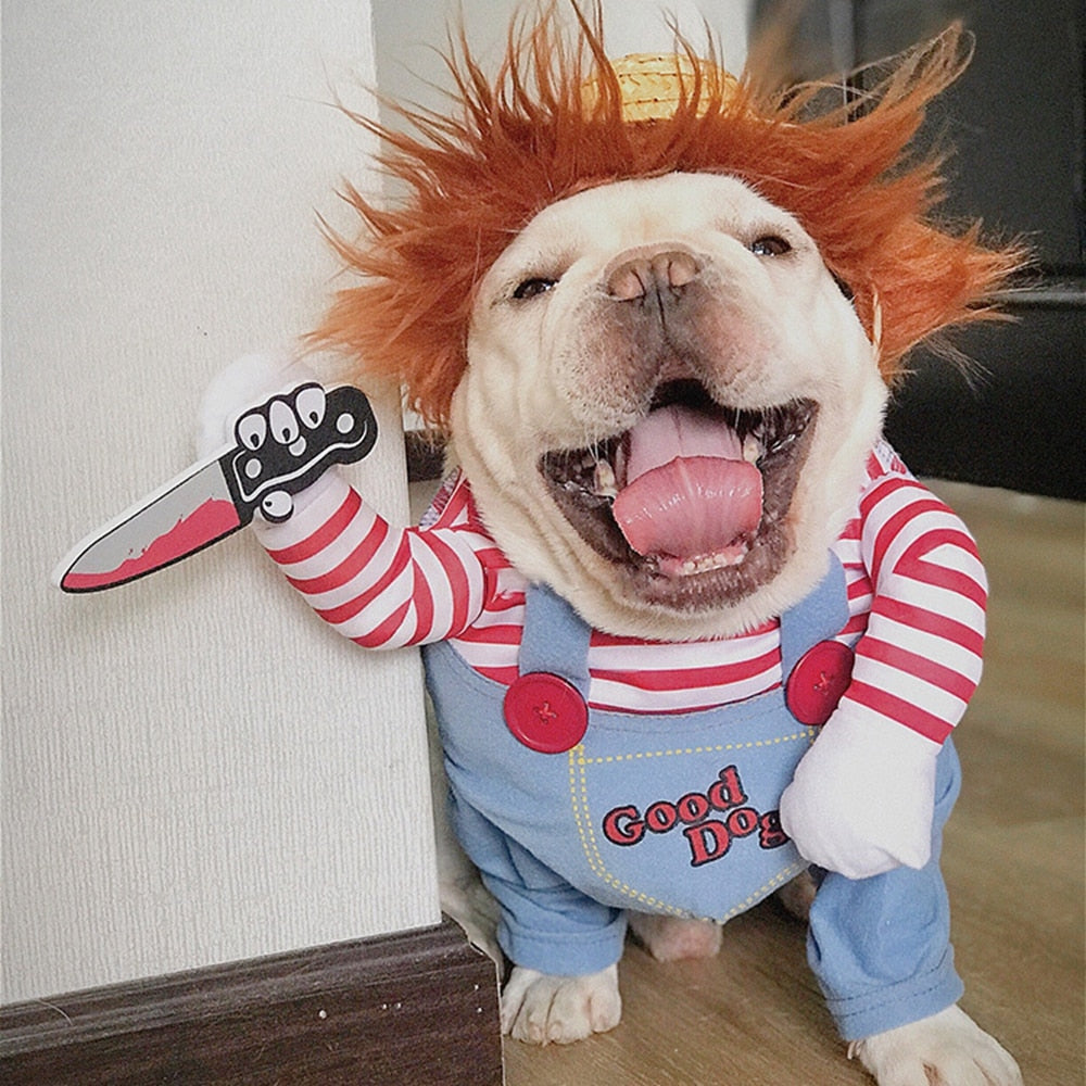 Close-up of laughing bulldog in Chucky spooky costume with character details.