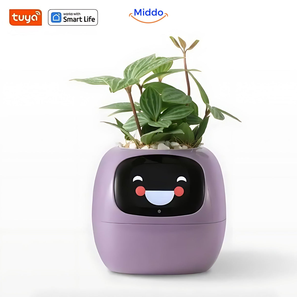 Interactive smart planter in purple offering automatic watering and app-connected features.
