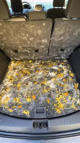 Car trunk before cleaning in a Turbovac video