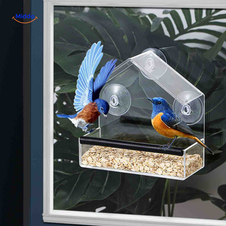 AviHaven bird feeder with blue birds