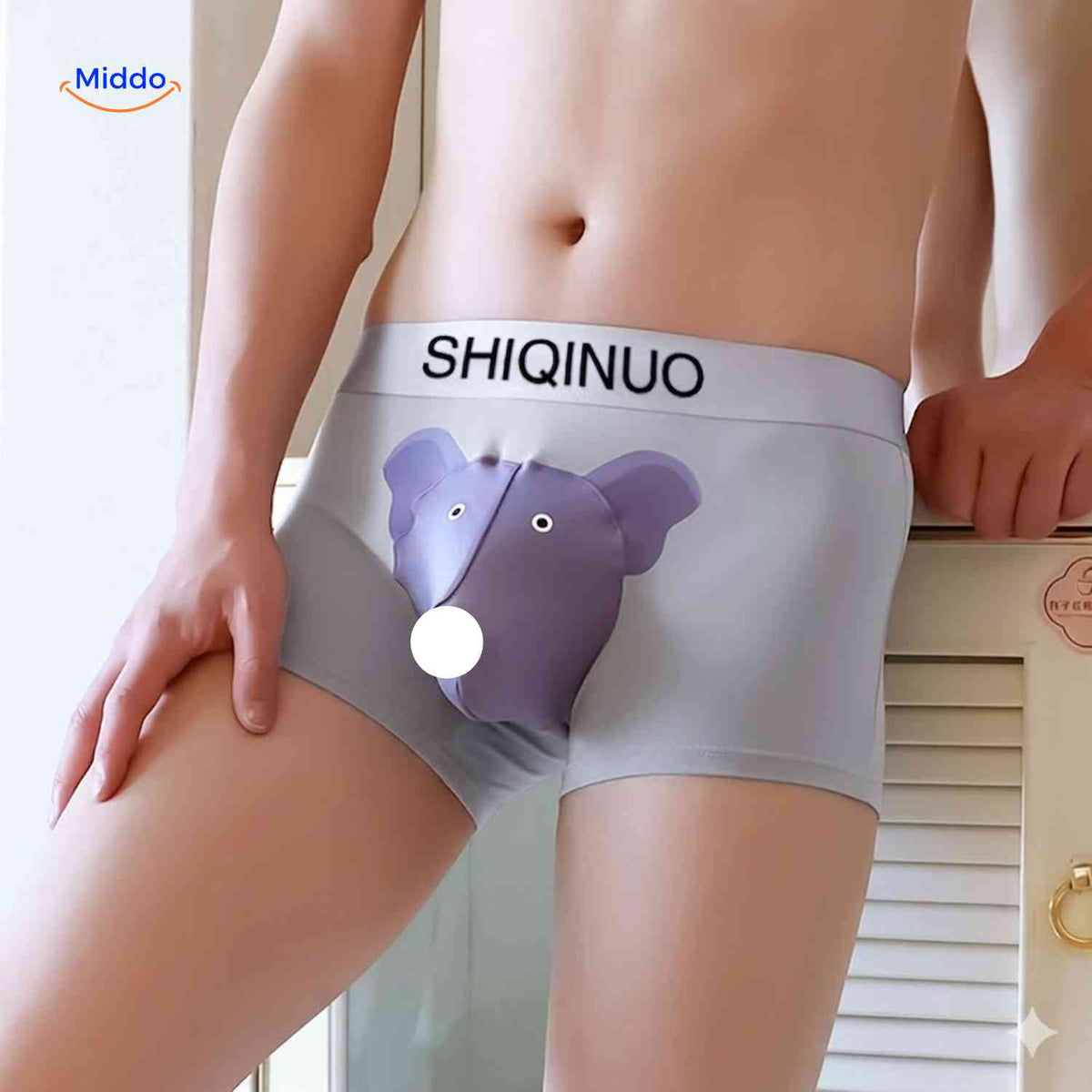 Elephanto Boxer Briefs front view image 10