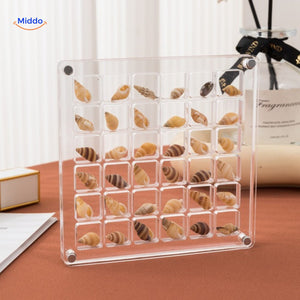 Protective acrylic case protecting seashells from dust, moisture, and physical impacts.