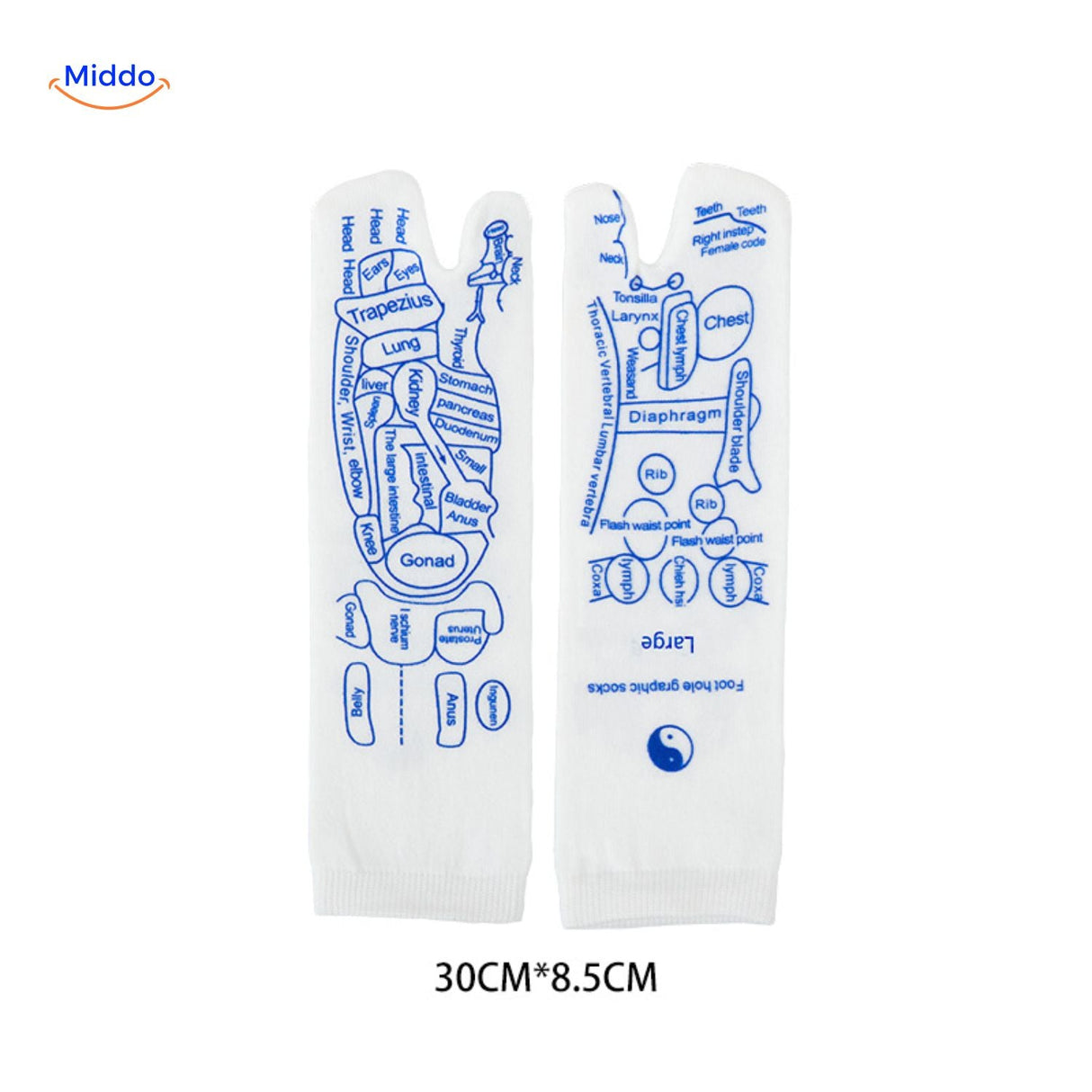 Acupoint socks in large sizes featuring an acupressure massage tool.
