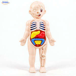 Kids Anatomy Set | Hands-On Science & STEM Learning