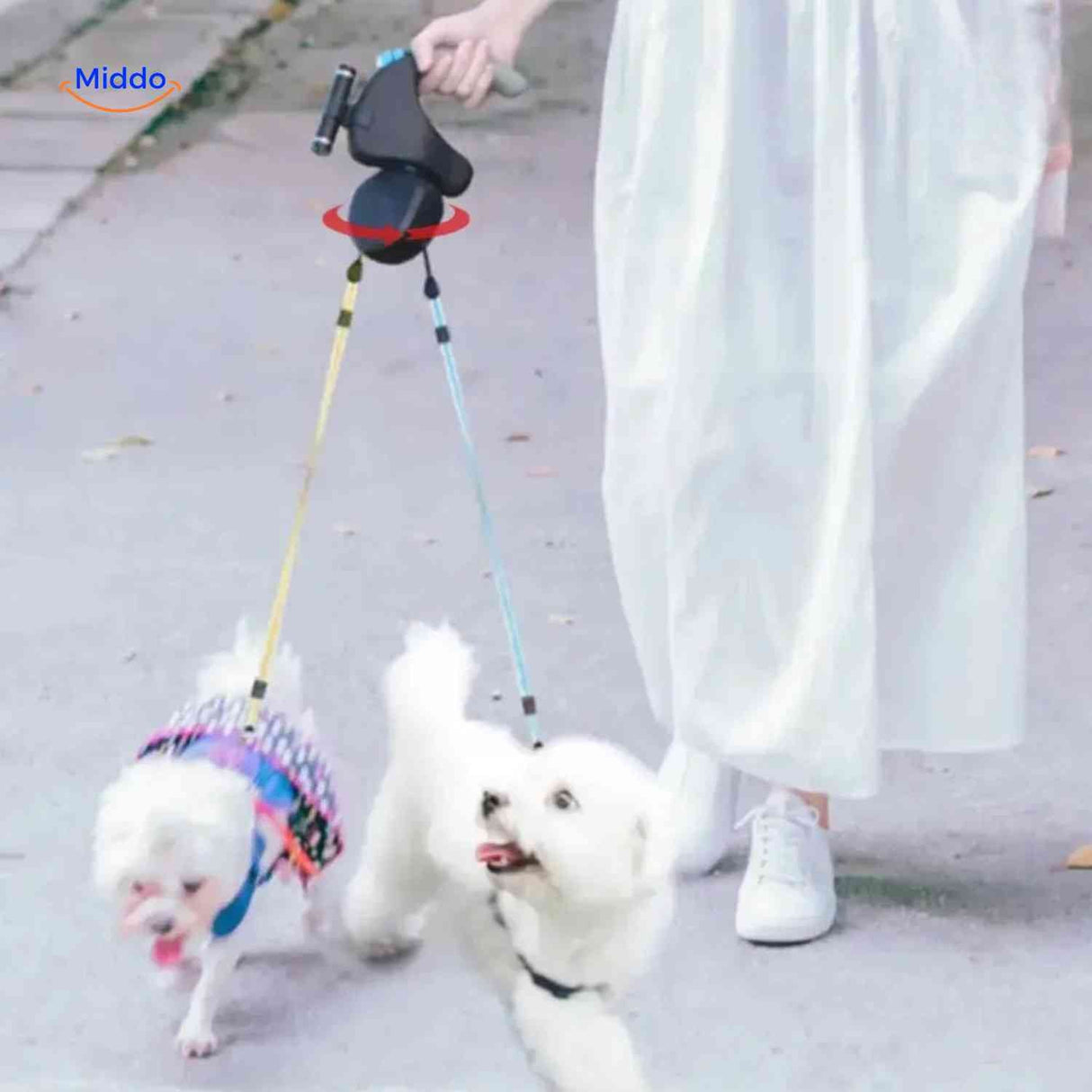 Anti-tangle dual dog leash keeping two dogs walking smoothly together.
