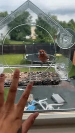 AviHaven window bird feeder with a finch