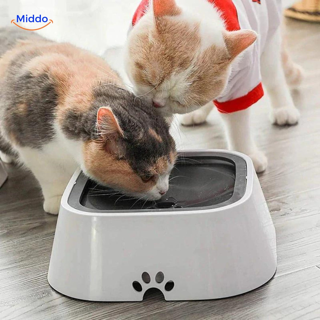 Anti-splash water bowl for cats, keeping floors clean and dry.