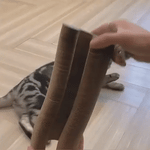Cat scratching and relaxing on cardboard scratcher toy.