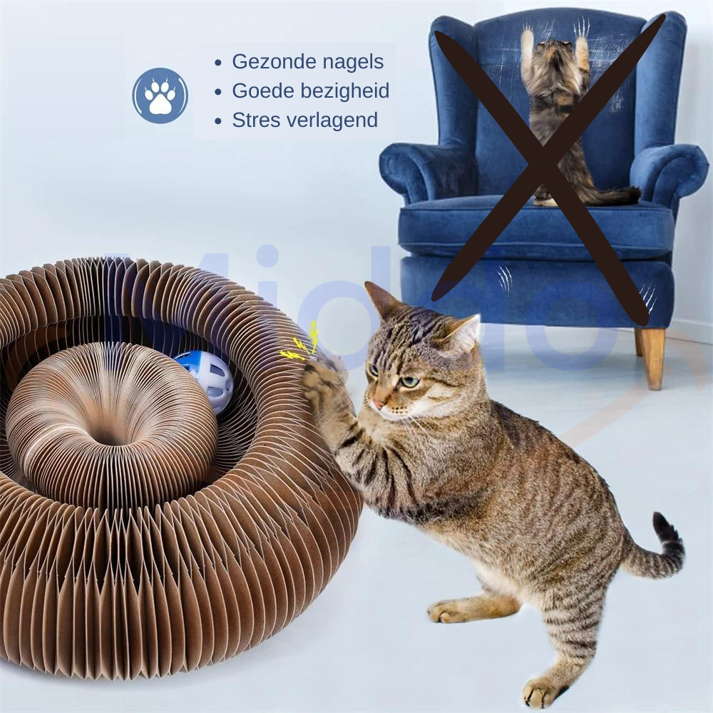 Cat scratcher benefits overview including scratch, play, and relax features.