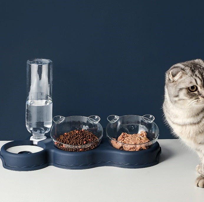 Cat eating from the TripleFeeder tray showing real-world usage.