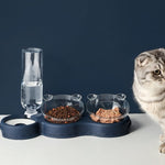 Cat eating from the TripleFeeder tray showing real-world usage.