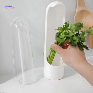 Cilantro storage container keeps fresh herbs organized and preserved.