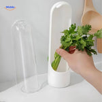 Cilantro storage container keeps fresh herbs organized and preserved.