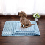 Blue cooling pet mat available in different sizes for dogs and cats.
