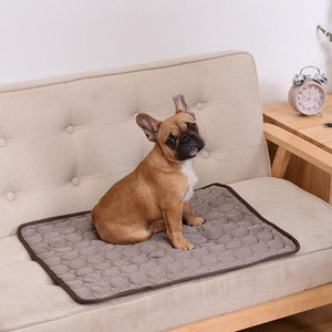 Brown cooling pet mat with happy dogs enjoying heat relief.