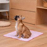 Pink cooling mat with dog resting comfortably on soft surface.