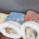 Cozy cat bed in blue and pink with two cats sleeping peacefully.