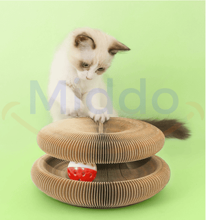 Curious cat playing and exploring on cardboard scratch toy.