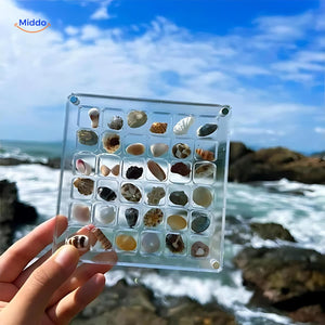Acrylic display case available in various custom sizes to fit your seashell collection needs.