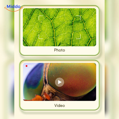 USB-connected kids microscope with full PC compatibility for image transfer.