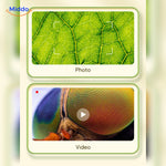 USB-connected kids microscope with full PC compatibility for image transfer.