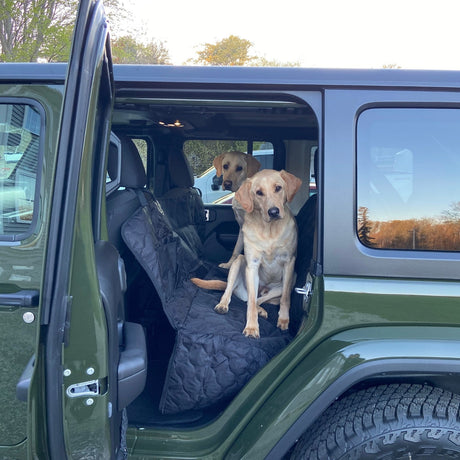Pet seat cover installed in vehicle with adjustable seat belt attachment.