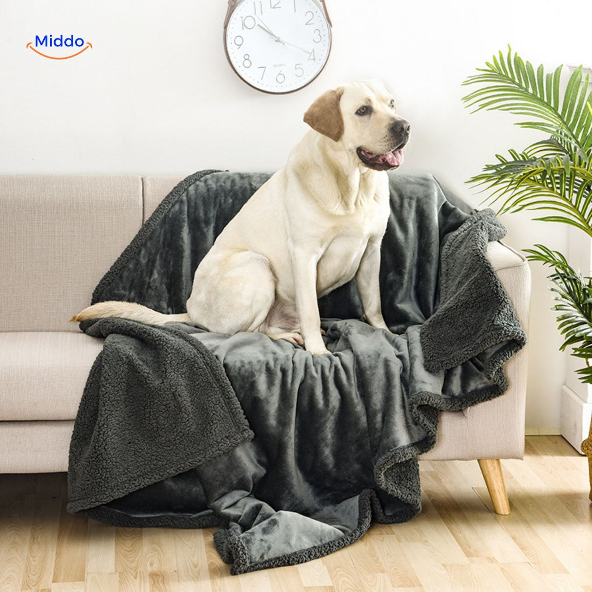 Cozy pet blanket keeping dog comfortable and protected from moisture.