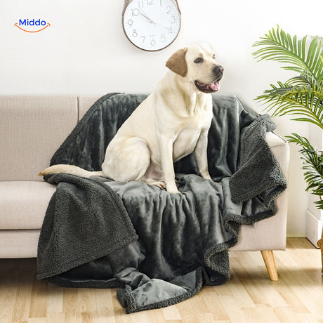 Cozy pet blanket keeping dog comfortable and protected from moisture.