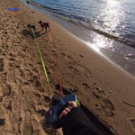 Dogs on beach enjoying outdoor walks with retractable dual leash.