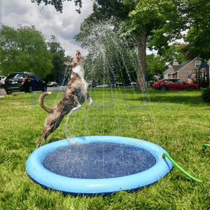 SplashZone™ Dog Pool Sprinkler Mat | Cool Summer Fun for Kids & Pets