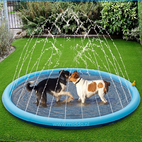 Multiple dogs enjoying sprinkler mat water activity outdoors