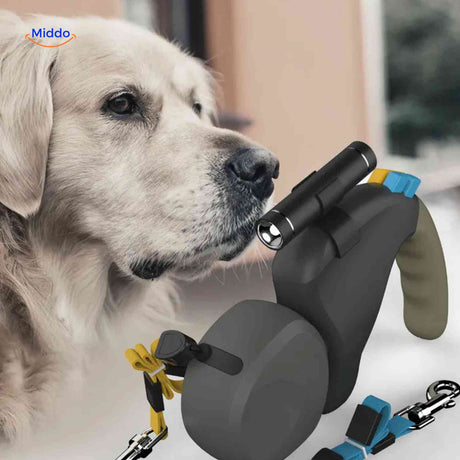 Dual dog leash with integrated LED flashlight for safe evening walks.