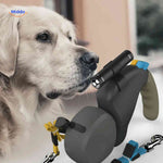 Dual dog leash with integrated LED flashlight for safe evening walks.