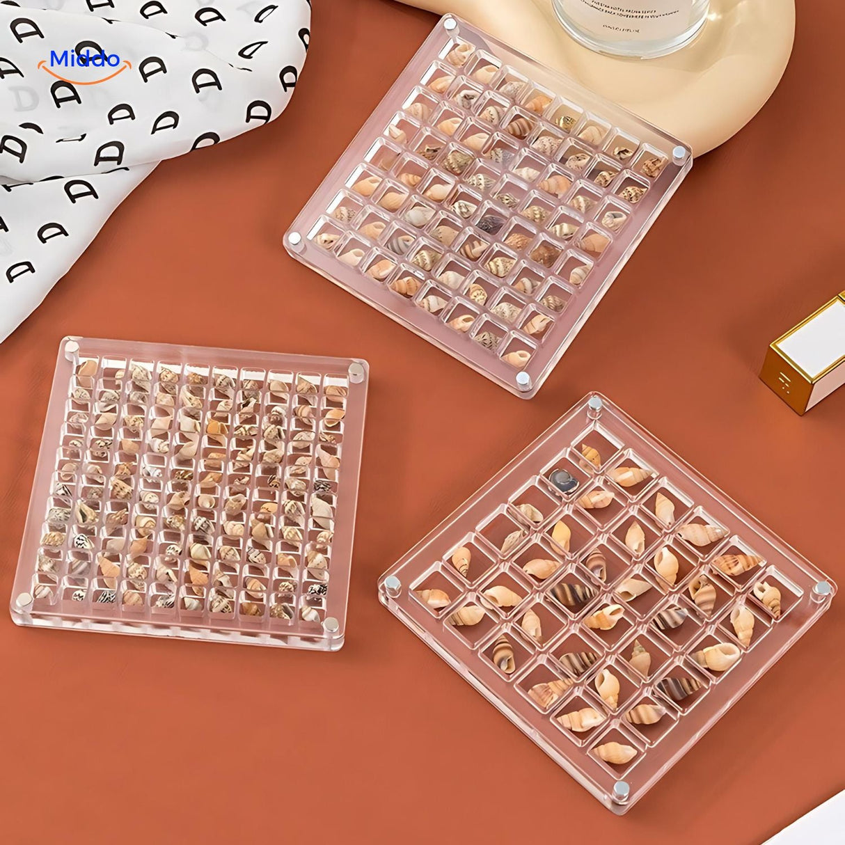 Display case made with durable high-quality materials for long-lasting seashell preservation.