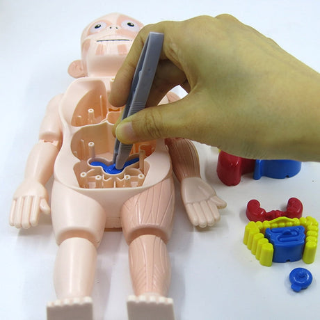 Close-up view of detailed anatomical bone pieces from the kids STEM learning set.