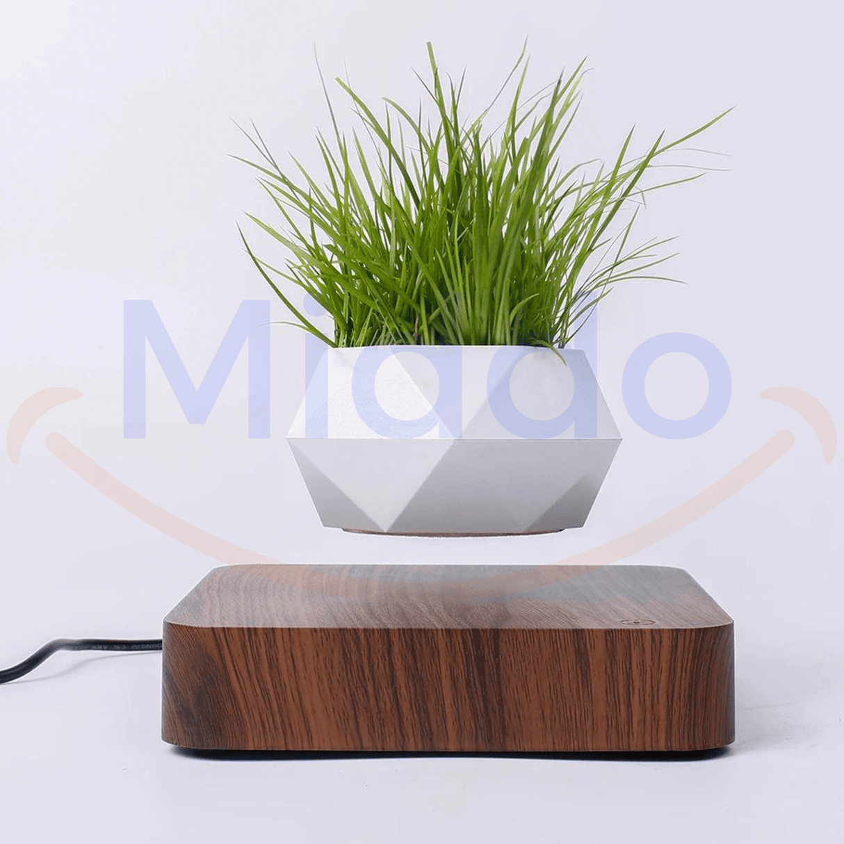 FloatPot levitating plant pot in dark brown ceramic finish.