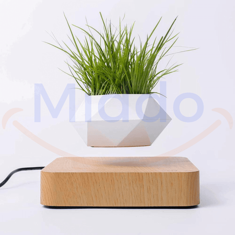 FloatPot levitating plant pot in light brown ceramic finish.