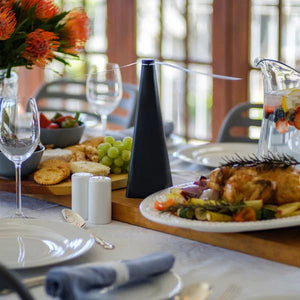 Fly Fan™ | Chemical-Free Insect Repeller for Mealtimes