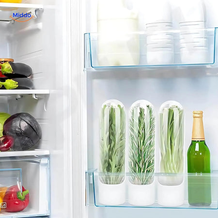 Fresh parsley keeper fridge storage keeps herbs crisp and ready to use.