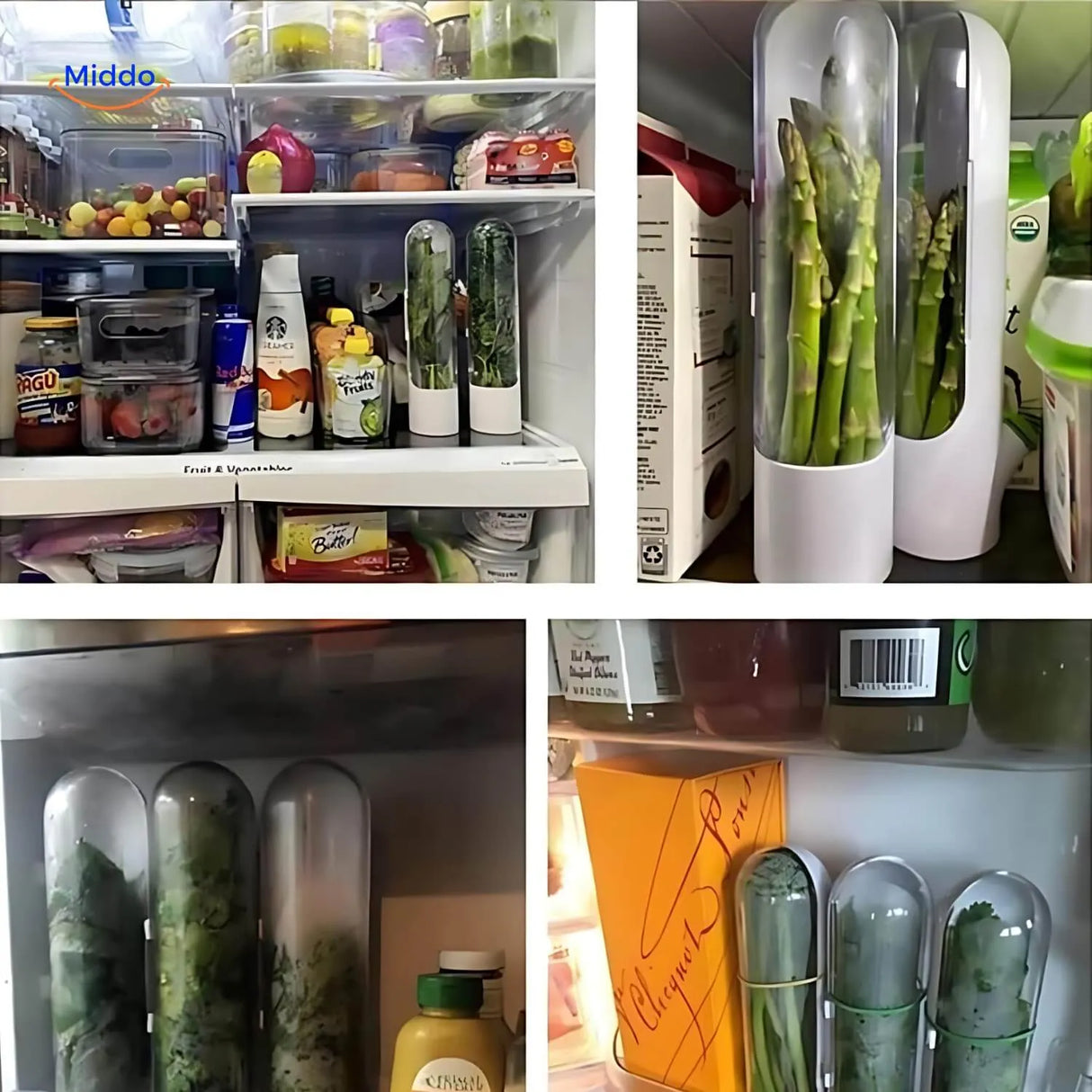 Refrigerator container for fresh herbs with superior preservation design.