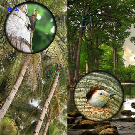 HD zoom monocular for wildlife viewing of birds and animals at distance.