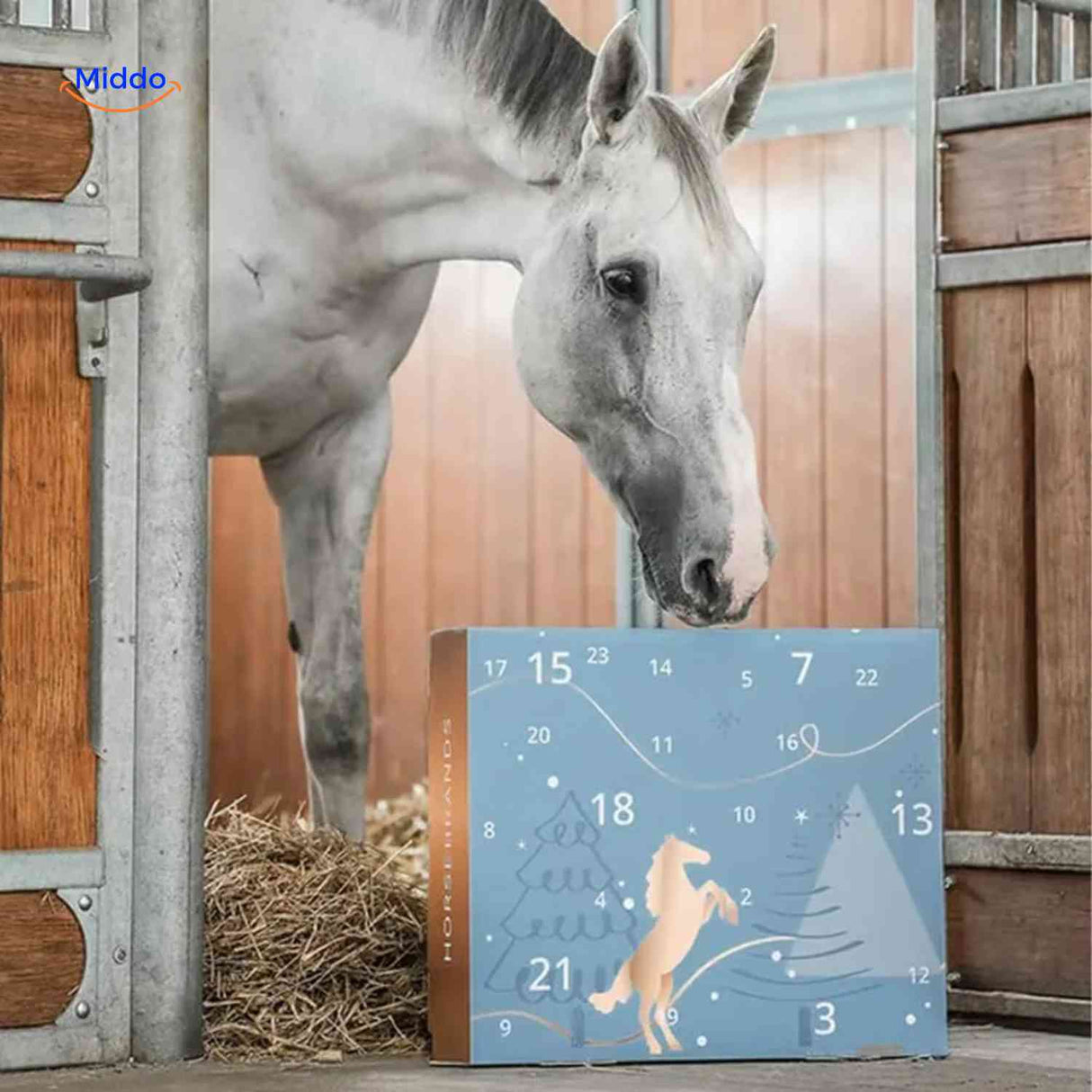 Horse advent calendar box displayed with horse in stable, ready for 24 days of treats.