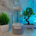 Compact JellyGlow speaker on desk with mood lighting effects and decorative plants in background.