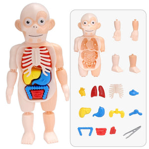 Kids Anatomy Set | Hands-On Science & STEM Learning